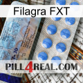 Filagra FXT 39